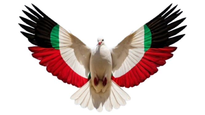 A white dove flies over a sandy beach.